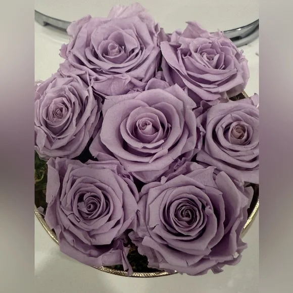 Venus Et Fleur Purple Rose Box - Picture 3 of 6